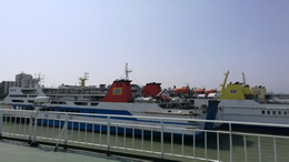 海口第三届“青椰科技节”本周末开启 50余项科学实验等你来体