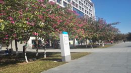 海口第三届“青椰科技节”本周末开启 50余项科学实验等你来体