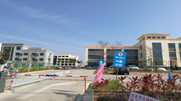 海口第三届“青椰科技节”本周末开启 50余项科学实验等你来体